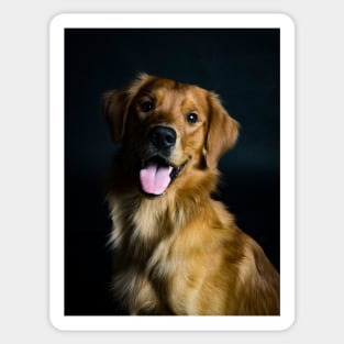 Golden Retriever Sticker